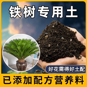 铁树专用土腐殖土铁树营养土养花通用盆栽种植土透气有机土壤肥料