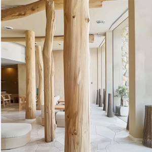 原木去皮大树干咖啡厅民宿装饰干树枝造景木头摆件北欧圆木柱子