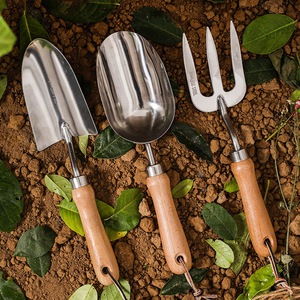 园艺工具套装组合亚马逊花园用品种花除草不锈钢小铲子园艺三件套