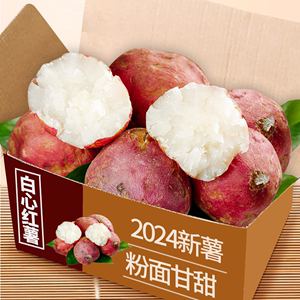 现挖新鲜白心红薯重庆红皮白瓤大地瓜24年新货板栗薯山芋番薯红苕