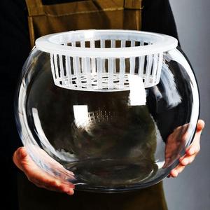 水培器皿植物玻璃透明花瓶水养植物鱼缸一体养鱼容器绿萝花盆室内