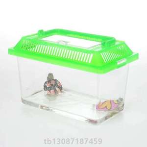 小盒子昆虫龟乌龟龟苗盒摆摊小款乌龟简易普通盒鱼装小金鱼携带的