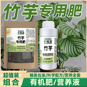 竹芋肥料营养液专用肥橵橶橷孔雀青苹果飞羽竹海银纹大叶的苗有机