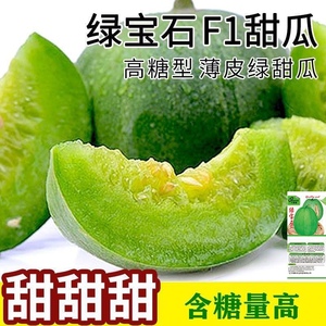 绿宝石甜瓜种子薄皮超甜香瓜种子春季绿皮四季脆瓜早熟高产香瓜籽