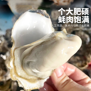 乳山生蚝鲜活特即食大牡蛎新鲜海鲜水产海蛎子特大整箱包活5斤装