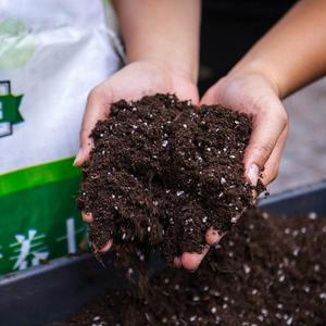 家庭园艺营养土种花种菜通用型泥炭土壤多肉种植沃土盆栽育苗基%