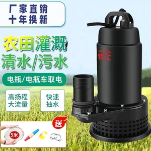 德国进口清污两用直流潜水泵12V抽水泵48V60V家用农用汽车电动车