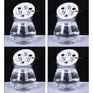 观音竹花瓶专用观音竹富贵竹专用三孔夹子种植篮透明塑料水培瓶