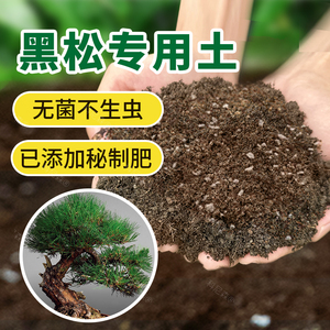 黑松专用土五针松营养土盆栽种花养花土庭院种植有机酸性土壤肥料