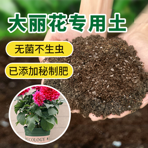 大丽花专用土花土家用种植土营养土种花有机土肥料花卉盆栽土壤