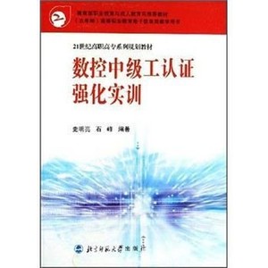 电子版PDF数控工认证强化实训 史明亮,石峰 著 北京师范出版社