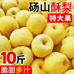安徽特产现摘砀山梨新鲜梨子10斤水果梨正宗整箱汤山酥梨包邮雪梨
