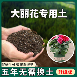 大丽花专用土肥料大丽花营养土蓬松天然园艺室内绿植植物花卉黑土