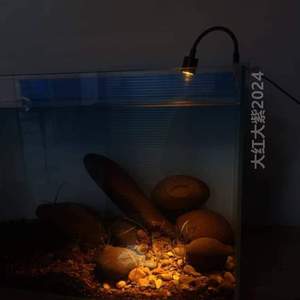 吊缸缸鱼缸上面古灯灯法灯溪流鱼缸防水,专用原生养鱼筒灯的射灯