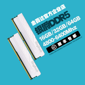 金百达 银爵台式机DDR5马甲内存条16G/32G/64G/6000/6400/6800频