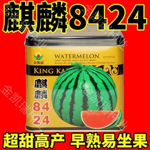 正品罐装麒麟8424冰糖西瓜种子薄皮特甜早熟高产种籽无籽耐热大果