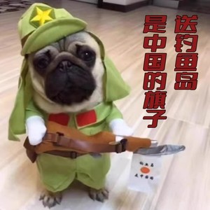 狗狗衣服搞笑搞怪法斗柴犬拿刀八嘎服装圣诞节宠物小型犬变身装秋