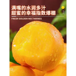 黄金油桃新鲜5斤应季大桃子新鲜水果整箱包邮水密桃孕妇黄心肉蜜