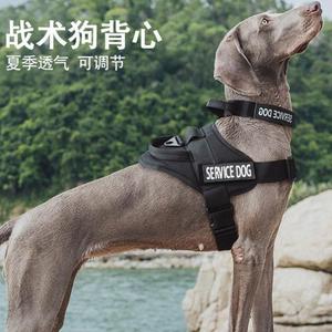 狗狗战术胸背带中大型犬K9背心式牵引绳德牧金毛马犬狼犬遛狗绳