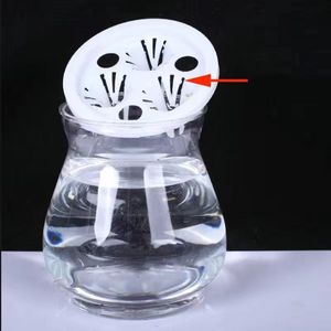 观音竹花瓶专用观音竹富贵竹专用三孔夹子种植篮透明塑料水培瓶