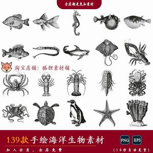 【海洋】手绘复古海洋生物动物鱼类龙虾贝壳珊瑚矢量PNG免扣素材