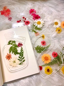 干花制作夹树叶标本儿童植物diy手工收集册标本册工具材料包幼儿