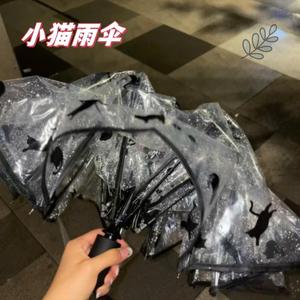 日系黑色小猫咪雨伞透明折叠三丽鸥高颜值可爱全自动长柄大号加固