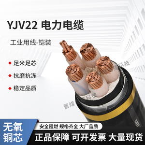 国标铜YJV22低压0.6/1KV铠装2/3/4/5芯2.5-400平方电缆线工程地埋