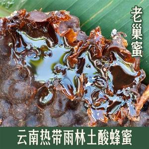 云南野生土酸蜂蜜原始森林纯正天然地下酸蜂蜜无刺蜂老巢蜜药花蜜