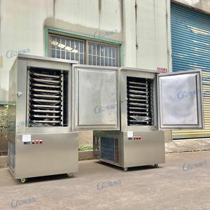 食品青刀豆冷冻机大容量11盘柜式水产黄花鱼速冻机低温急速速冻柜
