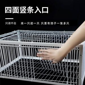 新疆包邮新款加密天落笼鸽子笼收信鸽用品只进不出跳笼捕鸽撞门笼