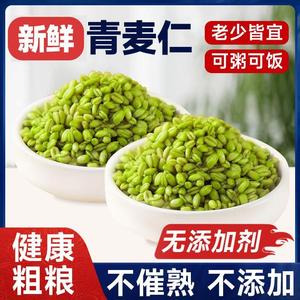 河南正宗青麦仁新鲜青麦粒米清麦绿麦粒麦穗五谷杂粮粗粮煮粥2024