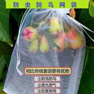 水果网保护套袋防虫防鸟草莓葡萄枇杷桃子无花果番石榴透气纱网