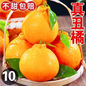 四川不知火丑橘10斤水果新鲜整箱包邮当季桔子耙耙粑粑丑柑橘子