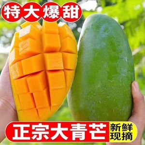 越南大青芒芒果新鲜10斤金煌芒特大果鲜果青芒果热带水果当季整箱