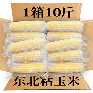 10支白糯玉米真空袋装新鲜现摘甜黏玉米棒东北粘苞谷加热非即食