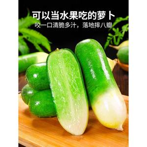 潍坊水果萝卜10斤青萝卜新鲜水果型潍县生吃绿皮沙窝萝卜当季蔬菜
