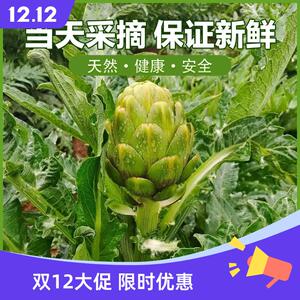 新鲜云南洋蓟4斤整箱时令蔬菜蓟花西餐食材法国百合朝鲜蓟种包邮3