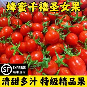 冰糖千禧圣女果A级精品新鲜水果5斤樱桃小番茄现摘西红柿蔬菜
