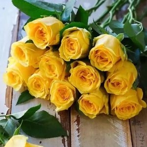 黄玫瑰种子四季种多年生植物庭院绿植盆栽花卉种黄色玫瑰花种新疆