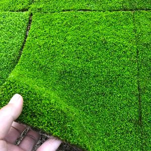 仿真草坪地毯鲜活人工培育纱布短绒苔藓微景观盆景庭院造景雨林水