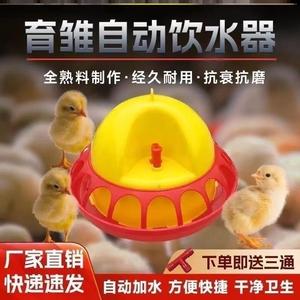 小鸡饮水器鸽子鸭鹅自动喂水神器鹌鹑补水器雏鸡饮水壶养鸡设备