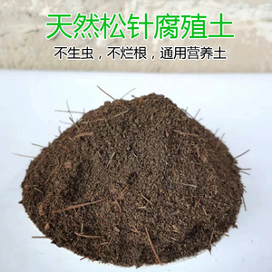 腐熟松针土天然腐殖土种菜土壤通用型腐叶土种植土兰花多肉营养土