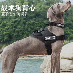 战术绳背心大型犬中式背带马犬狗狗金毛K9狼犬德牧牵引绳胸遛狗