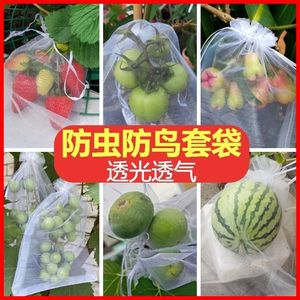 水果套袋网纱袋防虫保护袋防鸟葡萄果树桃子透气草莓种植套袋专用