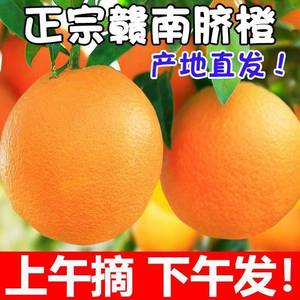 正宗赣南脐橙10斤橙子应当季水果新鲜赣州果冻橙手剥冰糖甜橙包邮