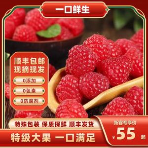 红树莓鲜果孕妇水果稀有热带果覆盆子云南新鲜怡颗莓顺丰当季热卖