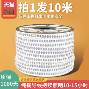 led灯带220v客厅家用吊顶自粘户外防水超亮柔性软灯条10米装线灯