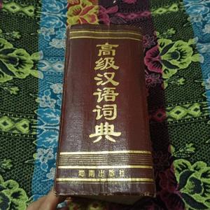 级汉语词典王同亿海南出版社  王同亿 50132001（单本,非