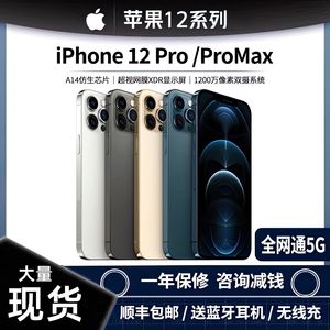 Apple/苹果 iPhone 12 Pro Max 国行双卡6.7寸分期免息5G手机现货
